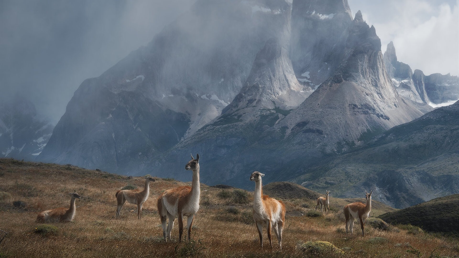 _国家队精英训练营:名将提前备战年度赛事_,进国家队训练有工资吗