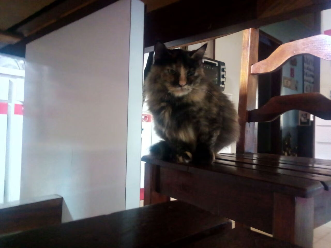 kaiyun体育app-_国家队精英训练营：名将提前备战年度赛事_，进国家队训练有工资吗