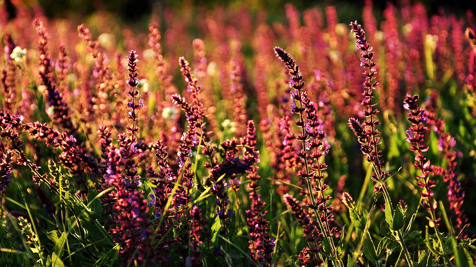 开云·体育官网-_青少年滑板战：极限技巧点亮青春_，青少年滑板教程